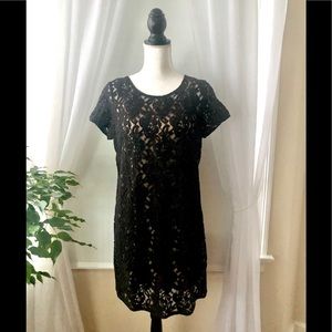 Loft black lace shift dress